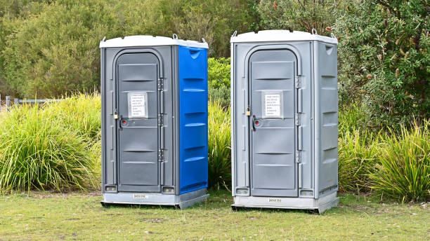 Best Portable Toilets with Baby Changing Stations  in Desloge, MO